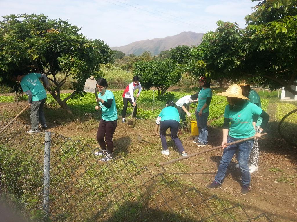 同行之友愛鄰社 2015年12月