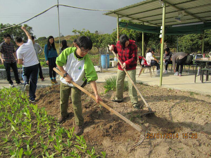 大埔恩全鄰社中心 2014年1月