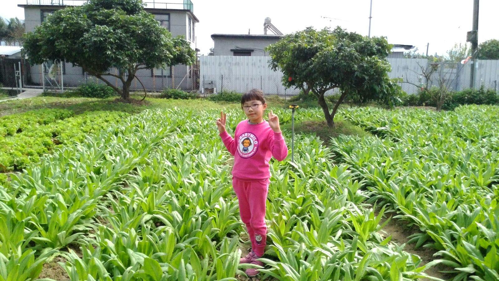 明愛德田青少年綜合服務中心 2016年2月