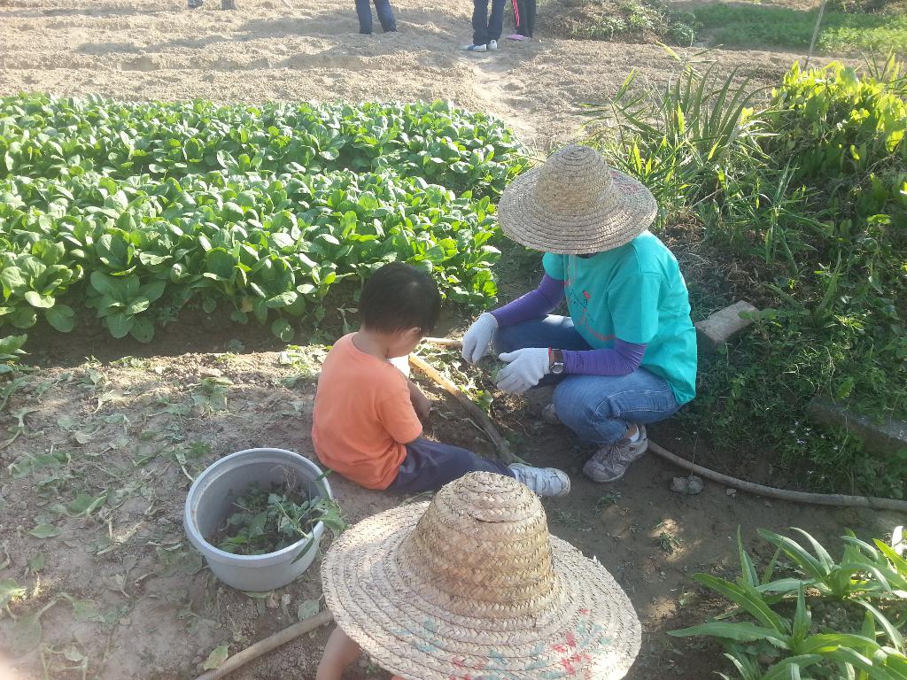 同行之友愛鄰社(一) 2014年10月