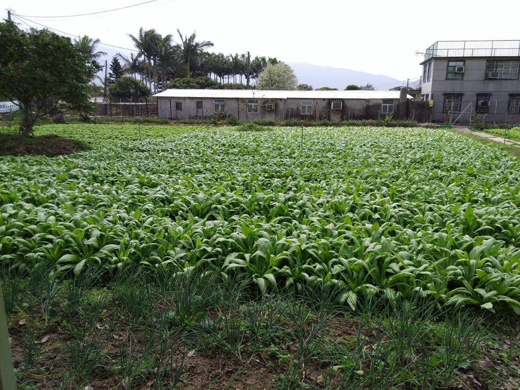 綠色生活 - 農地體驗 2018年3月