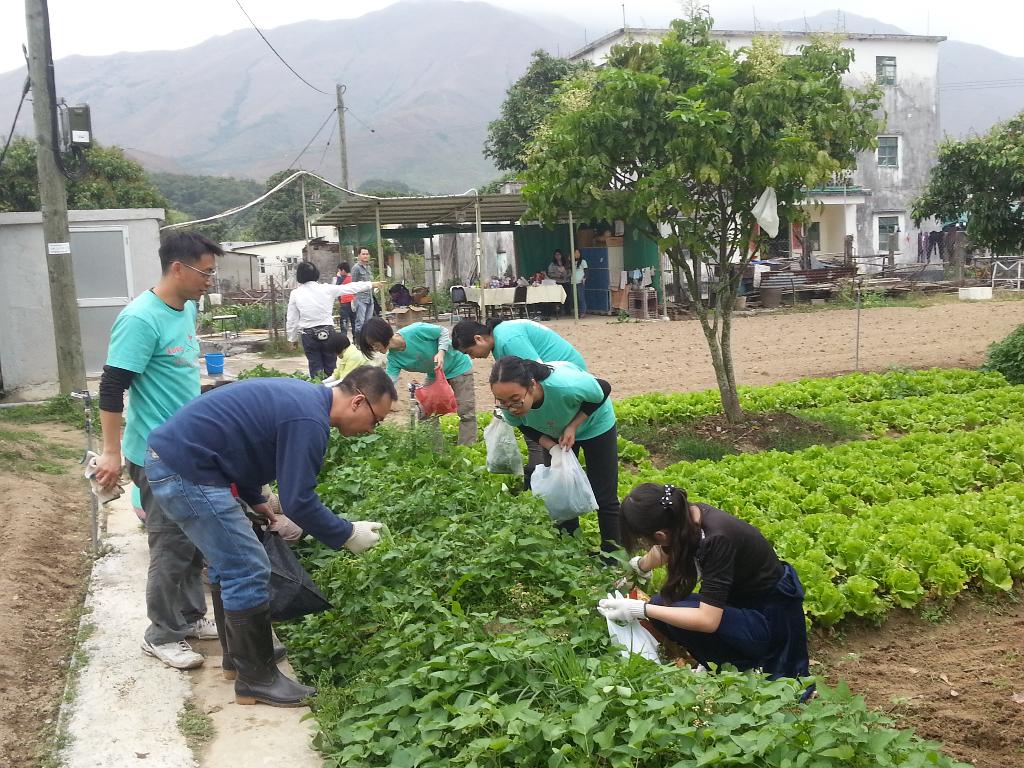 同行之友愛鄰社 2015年3月