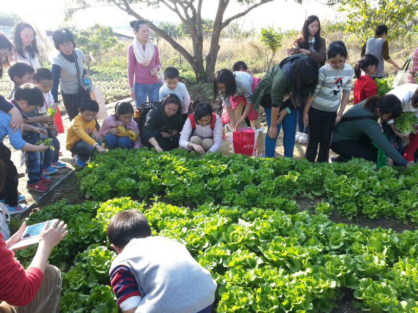 明愛德田青少年綜合服務中心 2014年1月