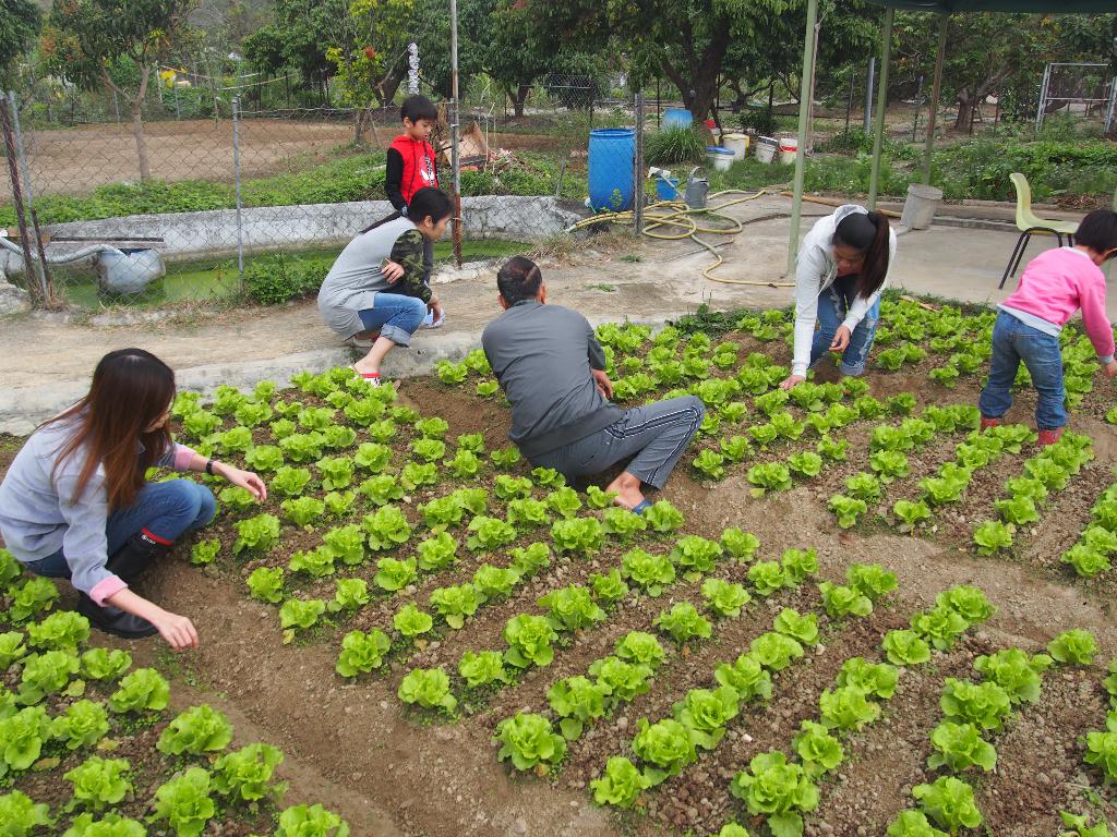 綠色生活 - 農地體驗 2017年3月