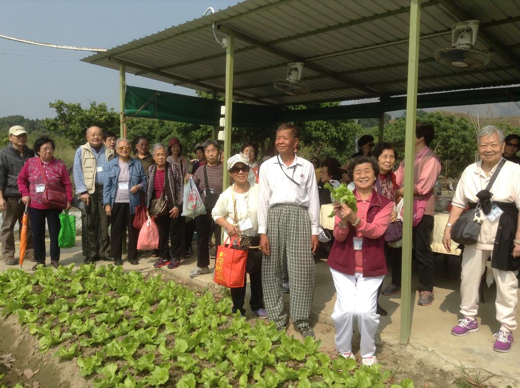 基督教家庭服務中心 2014年11月