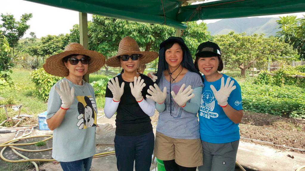 創建大同基金義工隊活動(一) -「綠色生活 - 農地體驗」 2016年8月