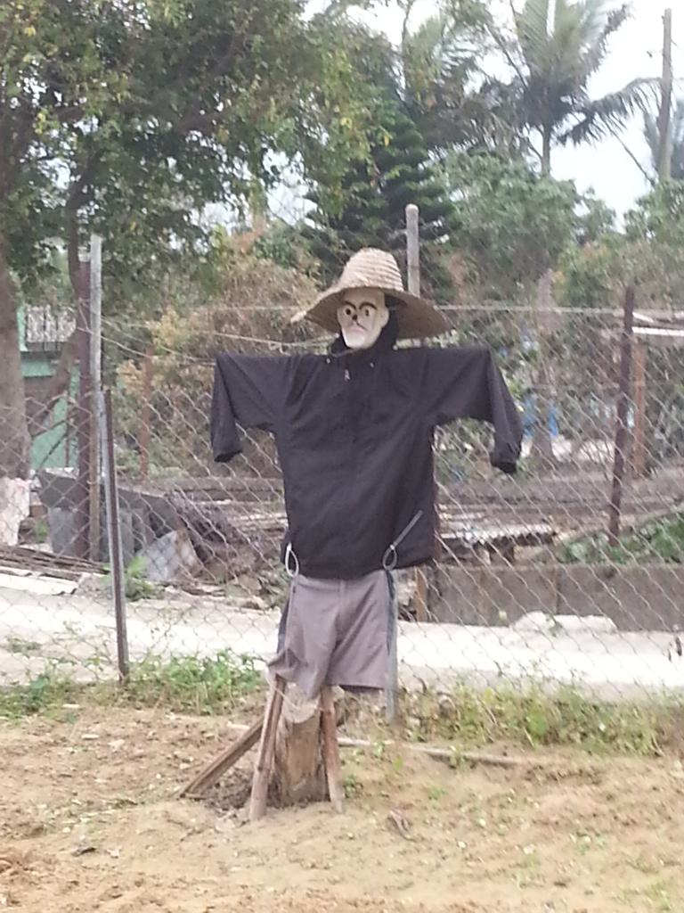 同行之友愛鄰社 2015年3月