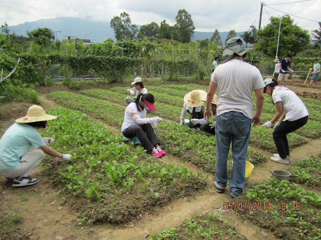 同行之友愛鄰社 2014年7月