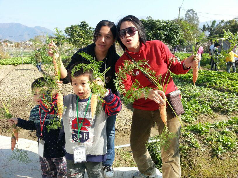 明愛德田青少年綜合服務中心 2014年1月