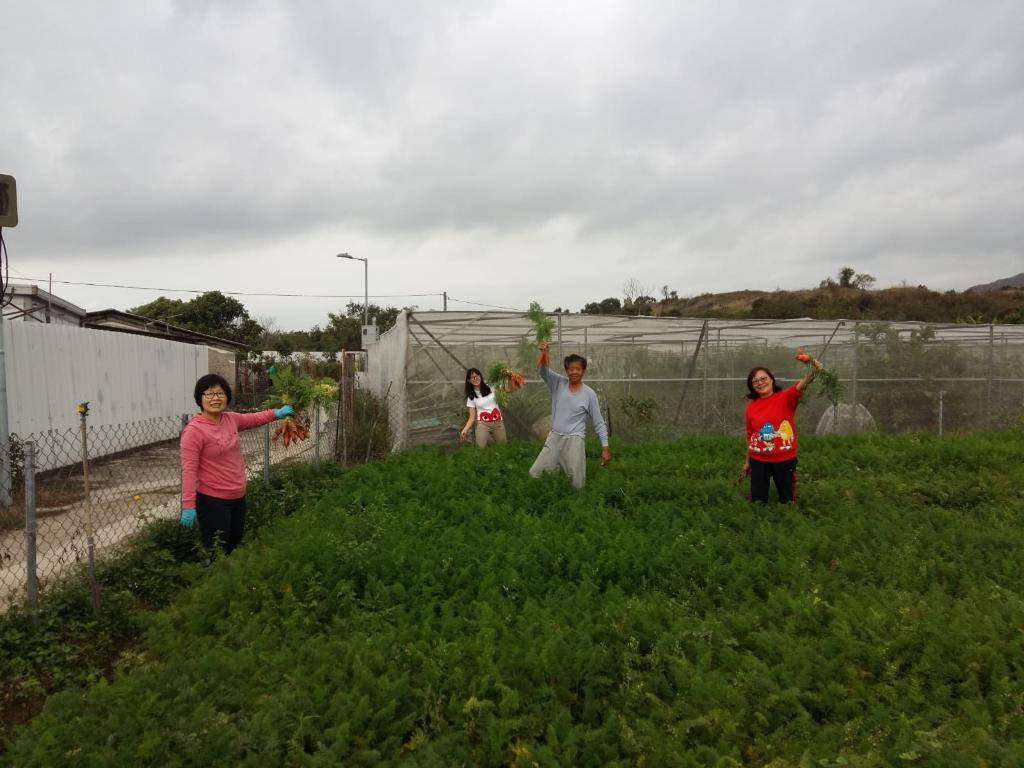 「耆樂綠融融」有機農場耕種及蔬菜捐贈