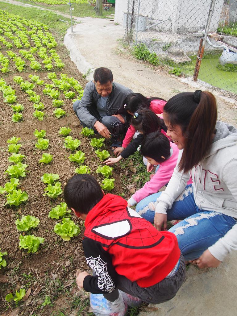 綠色生活 - 農地體驗 2017年3月