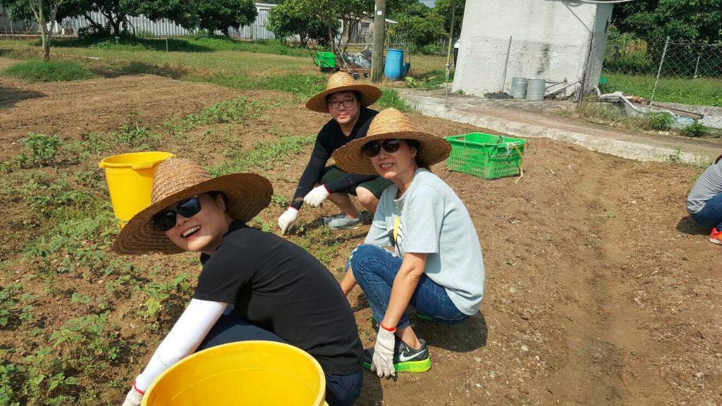 創建大同基金義工隊活動(一) -「綠色生活 - 農地體驗」 2016年8月