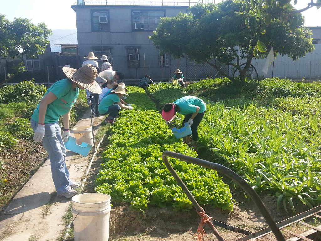 同行之友愛鄰社(二) 2014年10月
