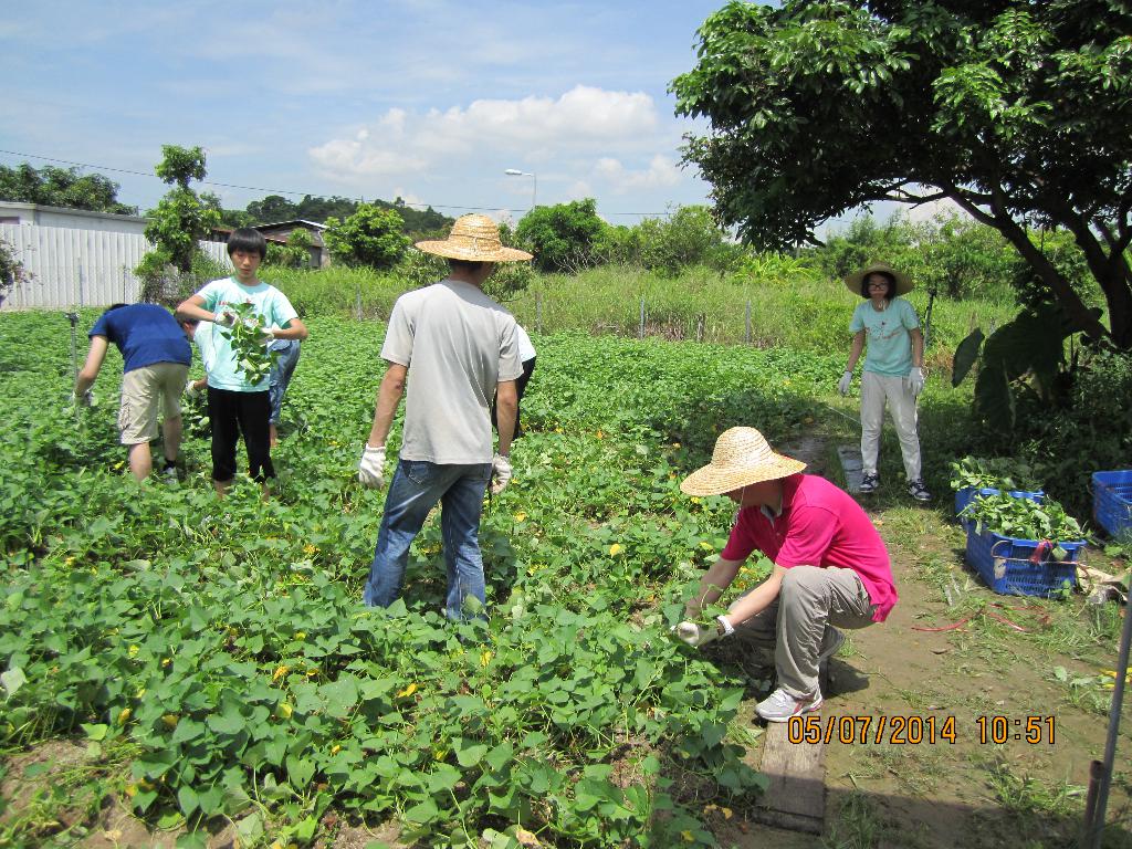 同行之友愛鄰社 2014年7月