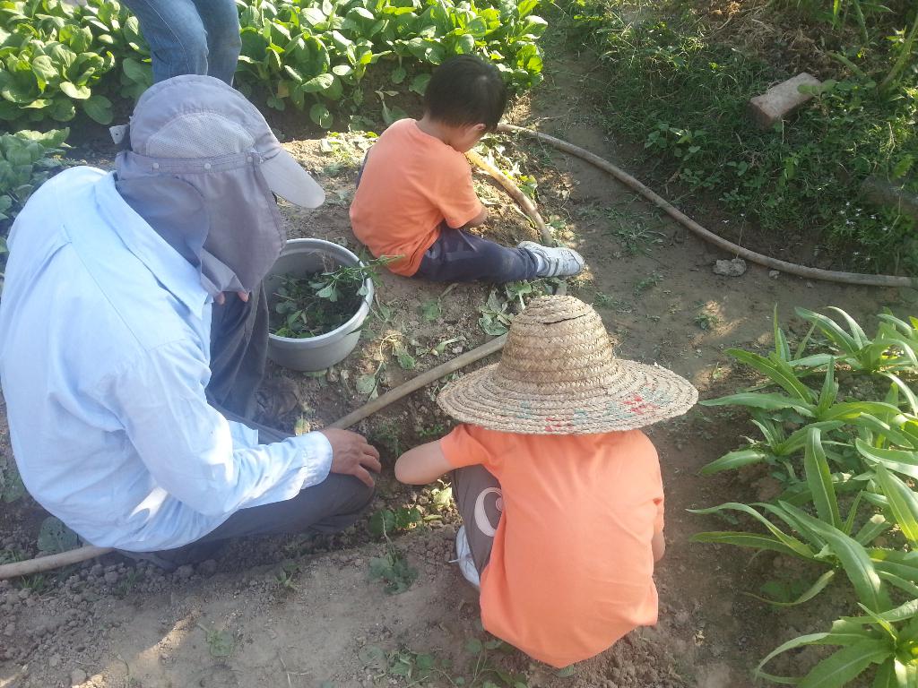 同行之友愛鄰社(一) 2014年10月