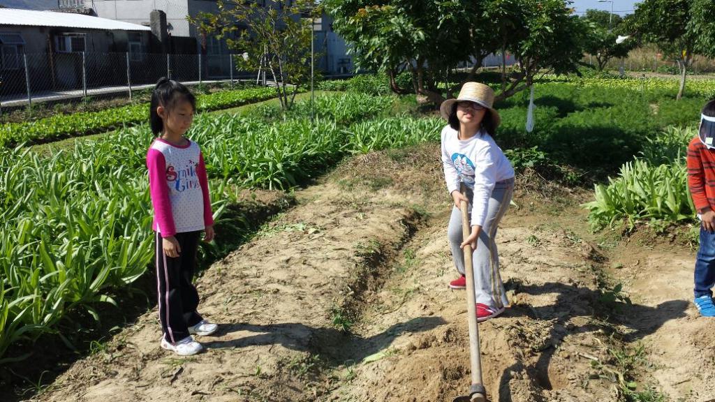 明愛德田青少年綜合服務中心 2014年11月