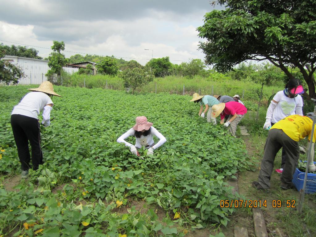 同行之友愛鄰社 2014年7月