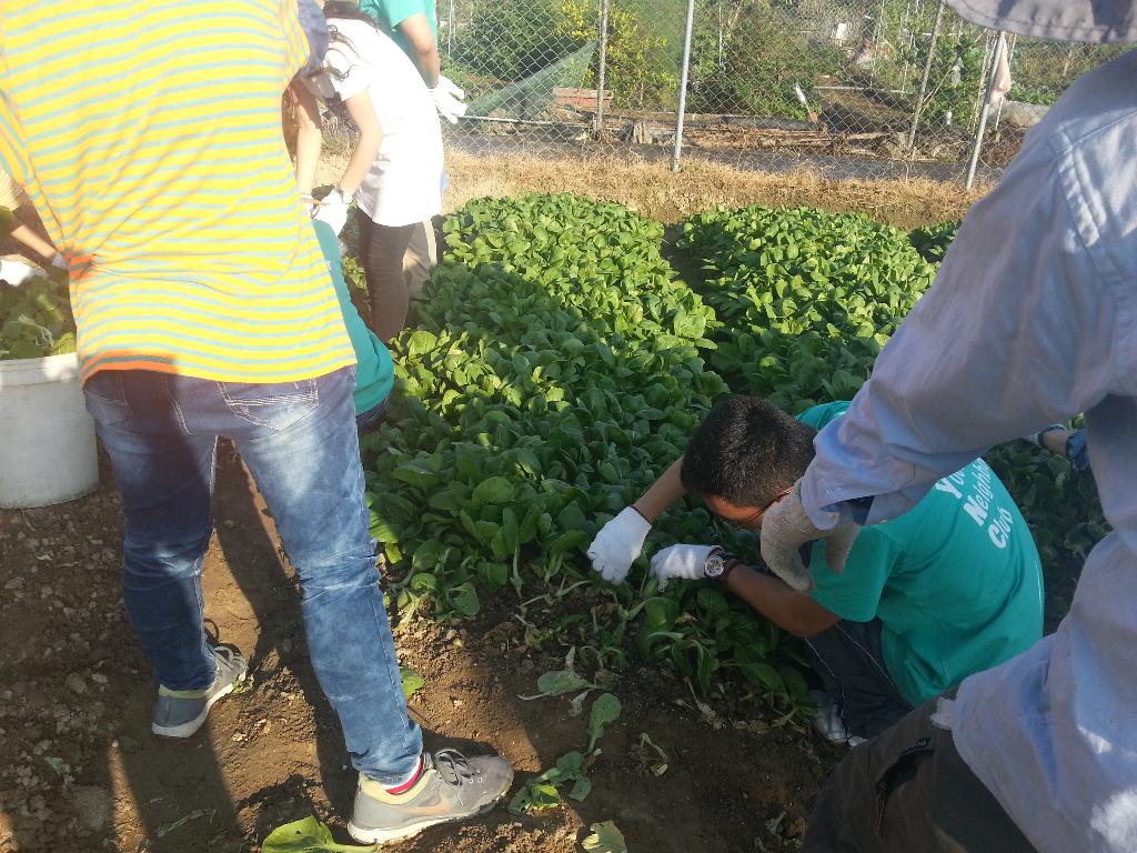 同行之友愛鄰社(二) 2014年10月