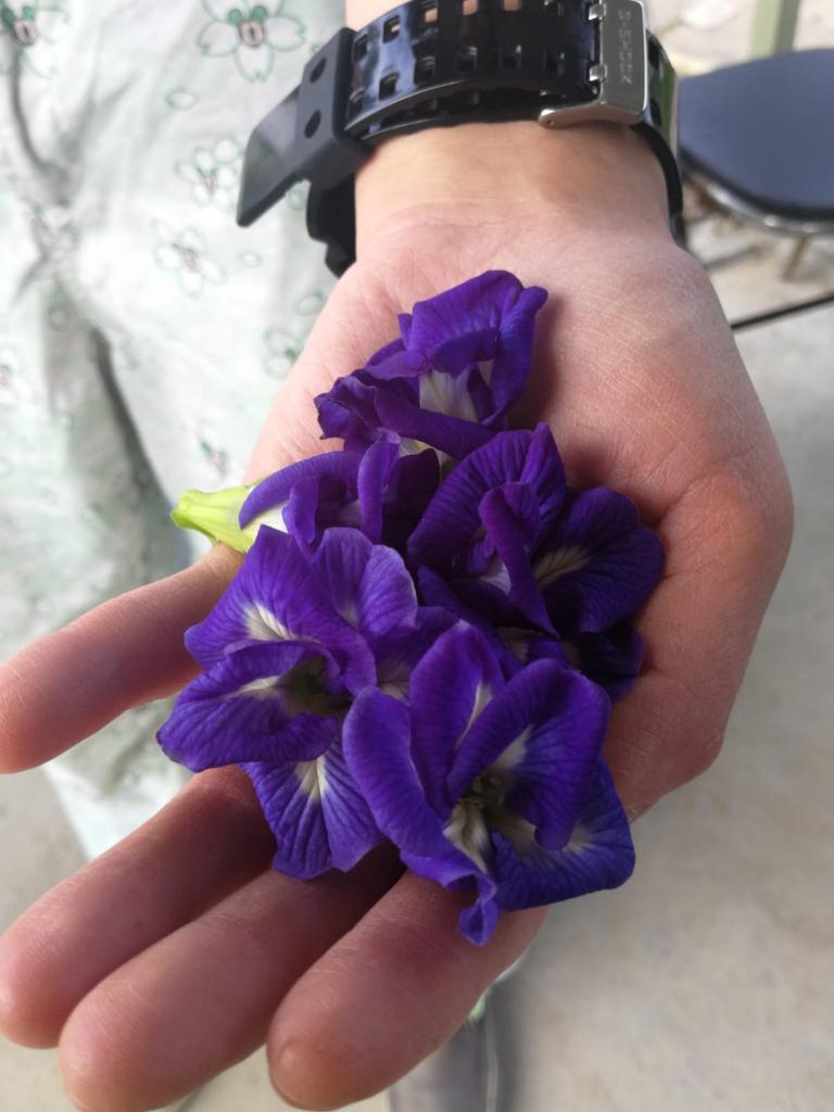 綠色生活 - 農地體驗 2018年12月