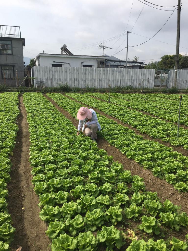 綠色生活 - 農地體驗 2018年3月