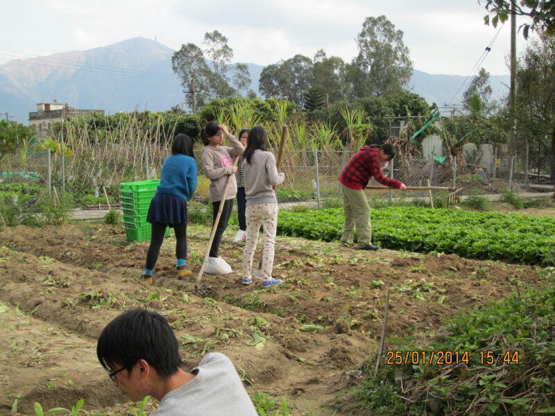 大埔恩全鄰社中心 2014年1月