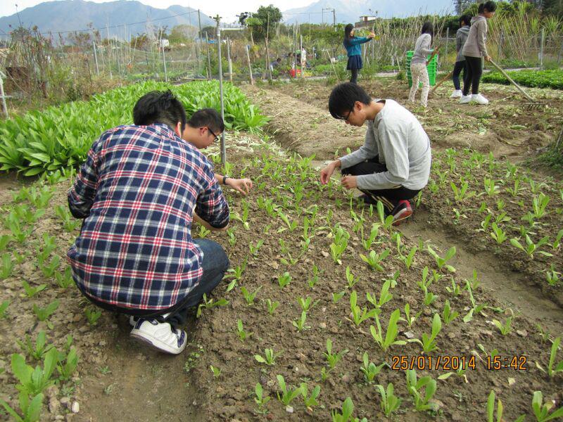 大埔恩全鄰社中心 2014年1月