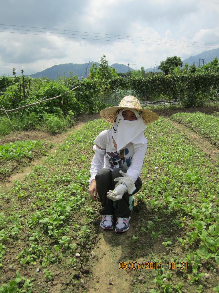 同行之友愛鄰社 2014年7月