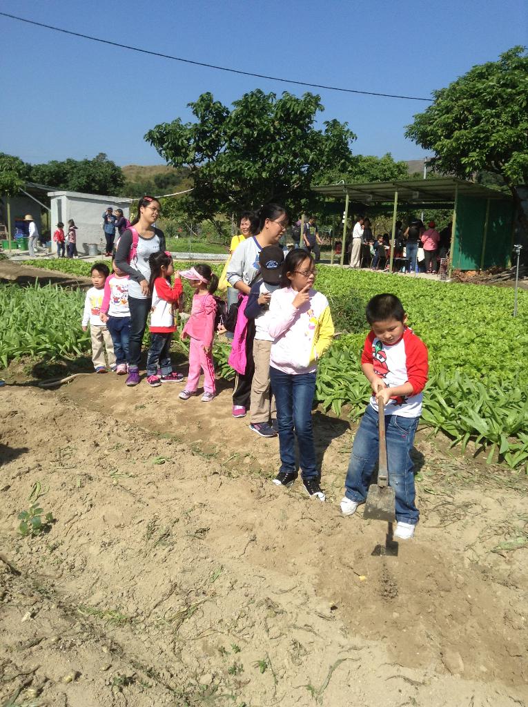 明愛德田青少年綜合服務中心 2014年11月