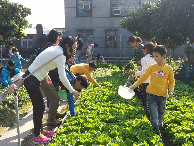 明愛德田青少年綜合服務中心 2014年1月