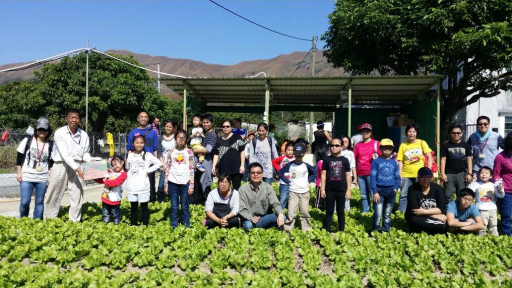 明愛德田青少年綜合服務中心 2014年11月