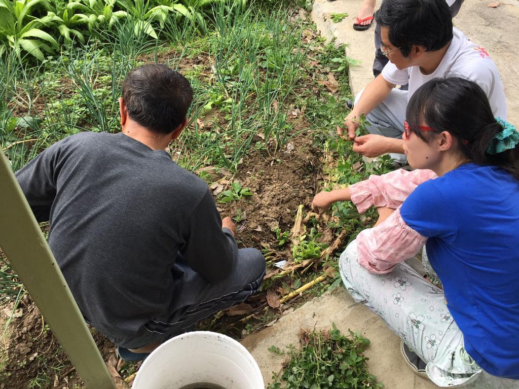 綠色生活 - 農地體驗 2018年3月