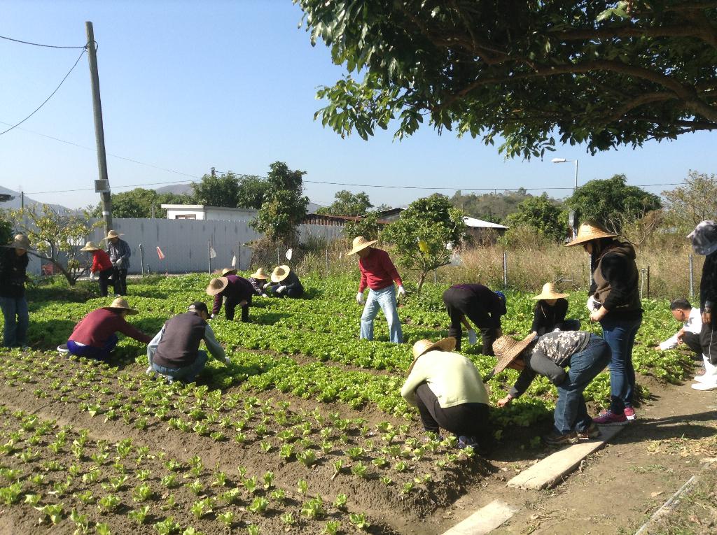 東華三院黃祖棠長者地區中心 2015年1月