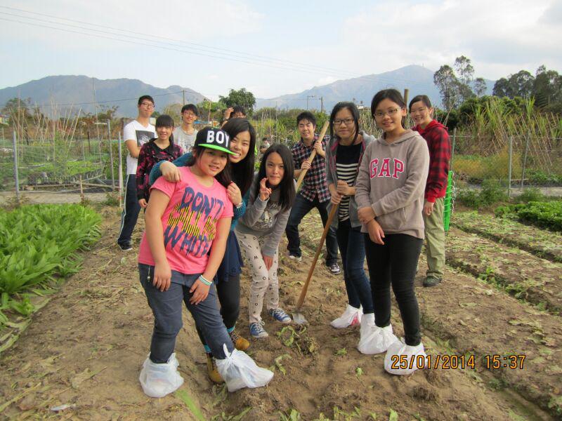 大埔恩全鄰社中心 2014年1月