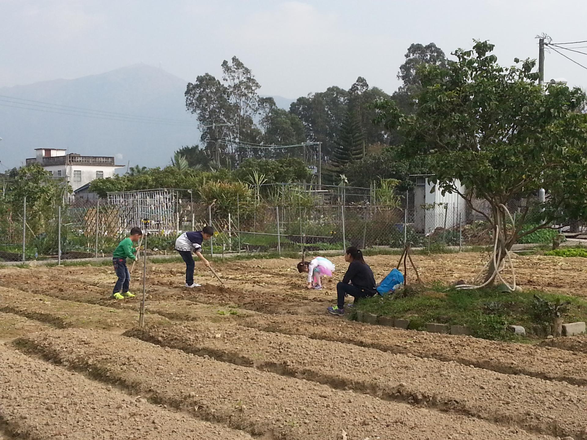 明愛德田青少年綜合服務中心 2016年2月