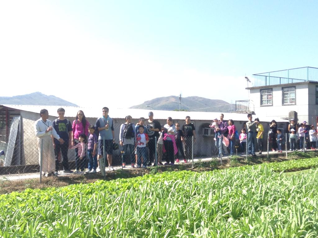 明愛德田青少年綜合服務中心 2014年11月