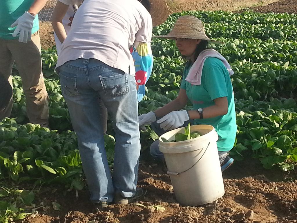 同行之友愛鄰社(二) 2014年10月