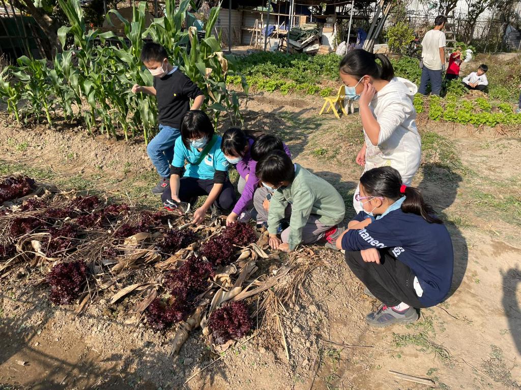 心義行少年歷奇成長之旅