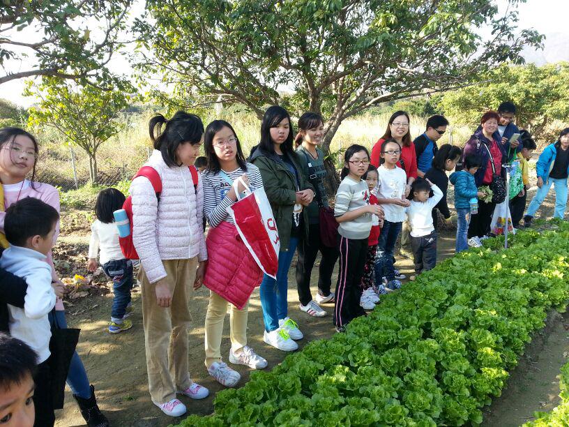 明愛德田青少年綜合服務中心 2014年1月