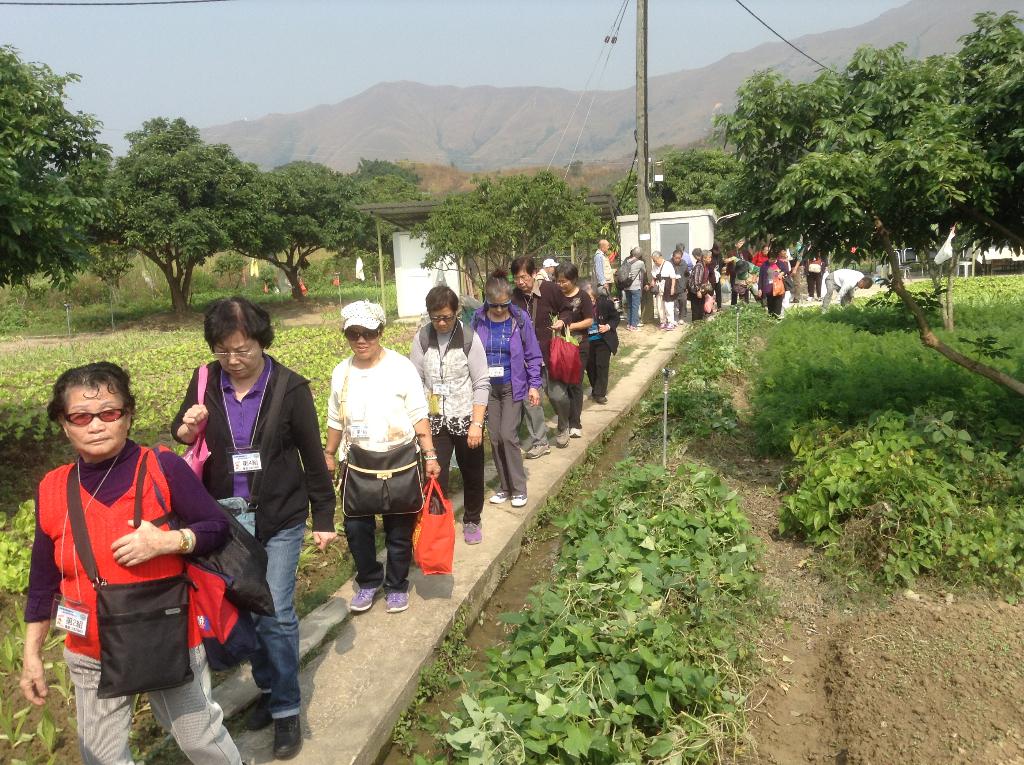 基督教家庭服務中心 2014年11月