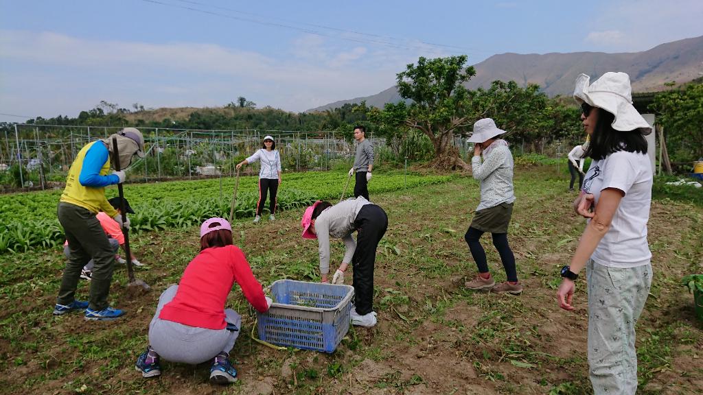 綠色生活 - 農地體驗 2018年12月