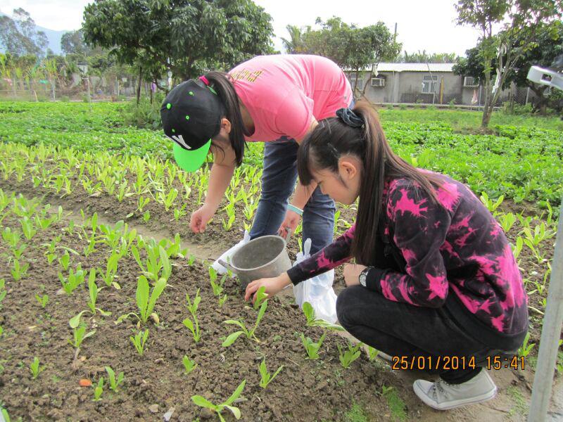大埔恩全鄰社中心 2014年1月