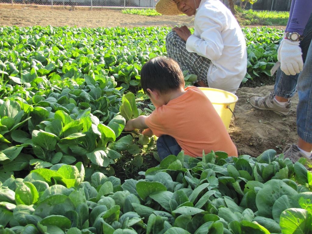同行之友愛鄰社(一) 2014年10月
