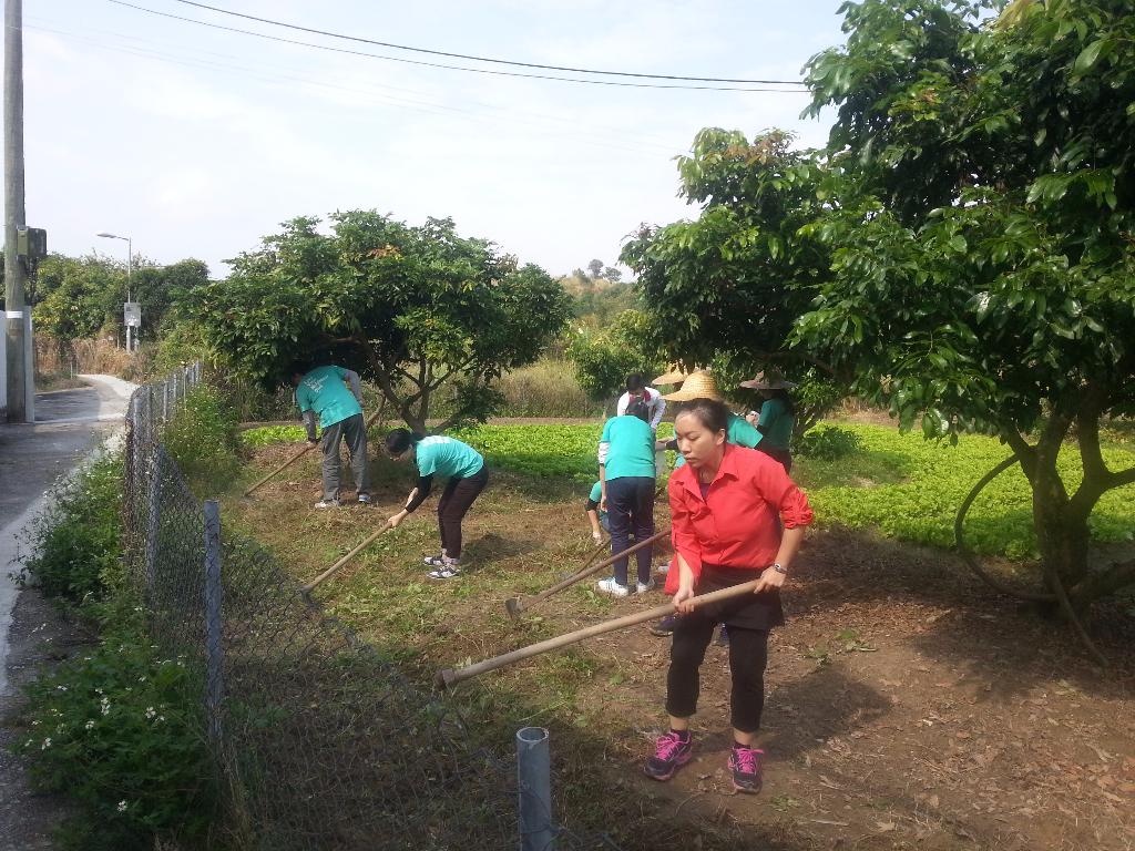 同行之友愛鄰社 2015年12月