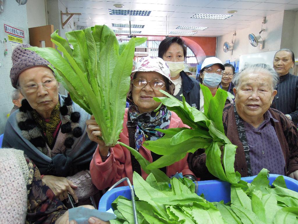 「耆樂綠融融」有機農場耕種及蔬菜捐贈
