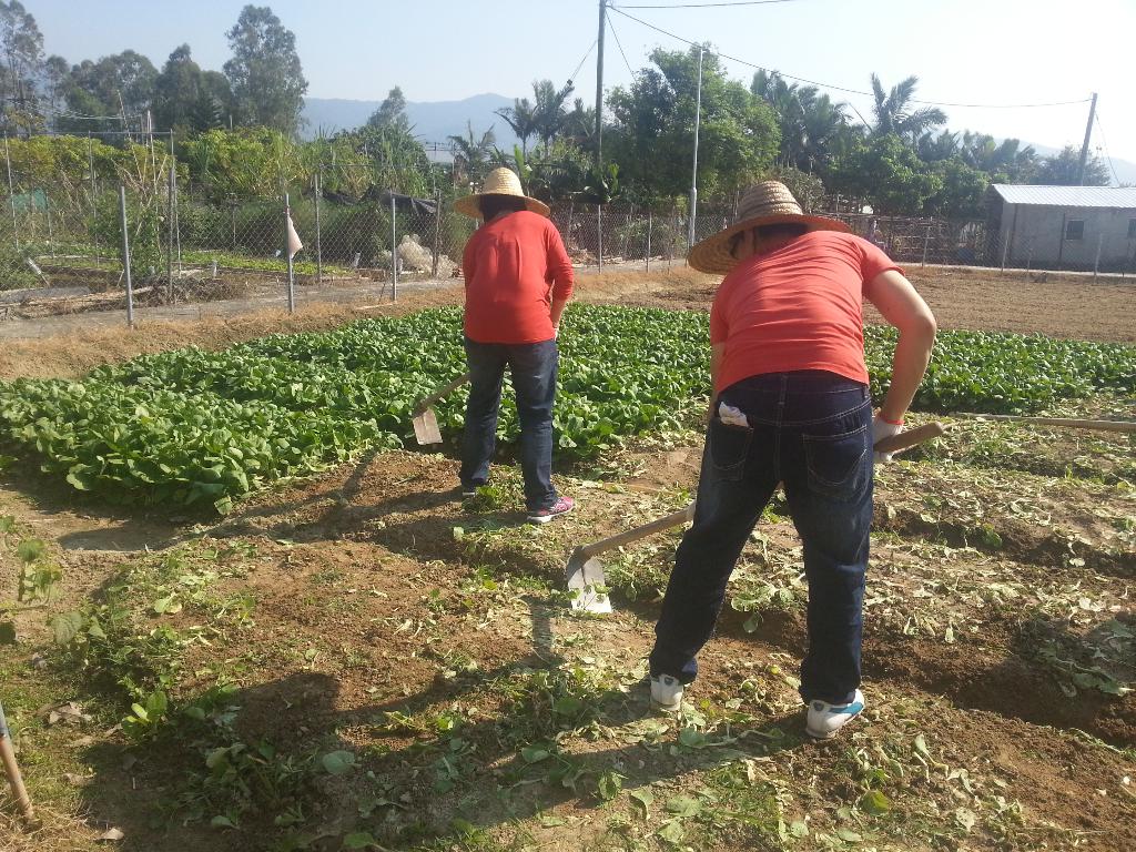 同行之友愛鄰社(一) 2014年10月