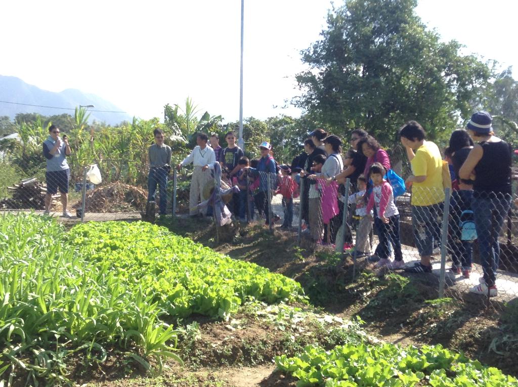 明愛德田青少年綜合服務中心 2014年11月