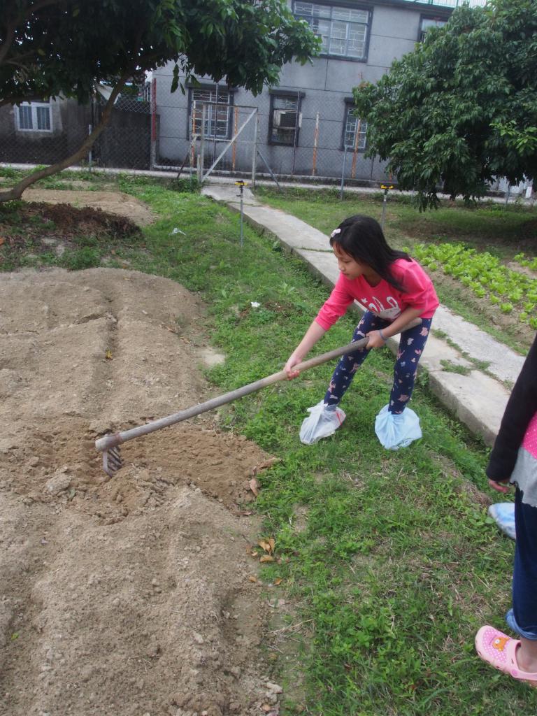 綠色生活 - 農地體驗 2017年3月