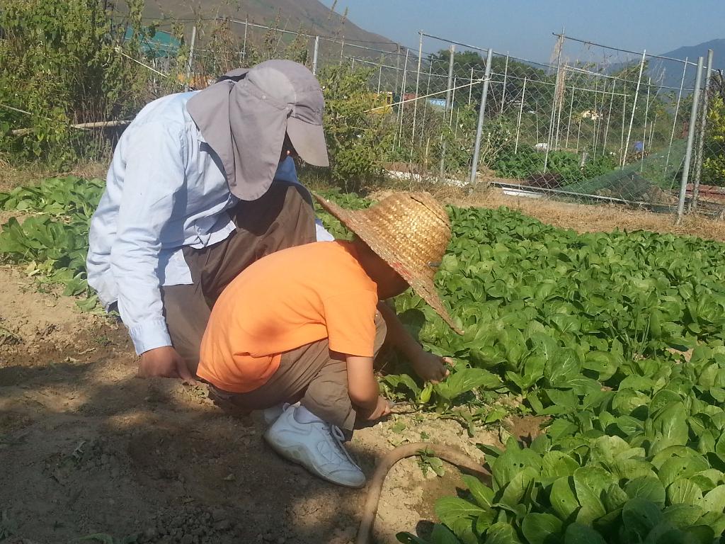 同行之友愛鄰社(一) 2014年10月