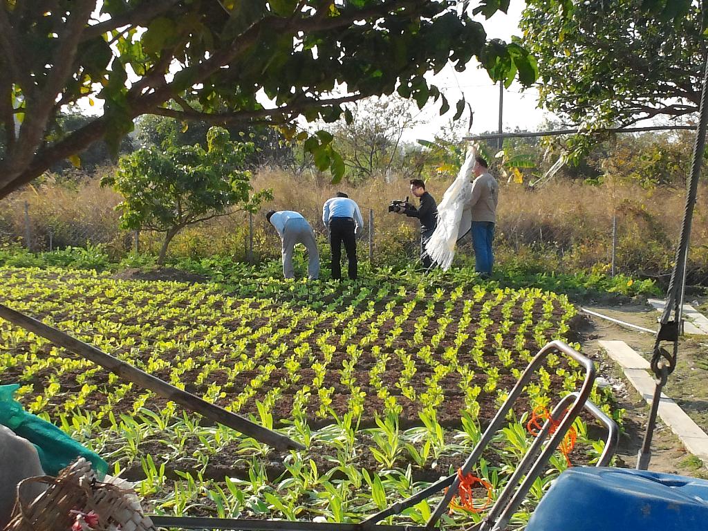 RoadShow 16度倒數訪問 2014年1月