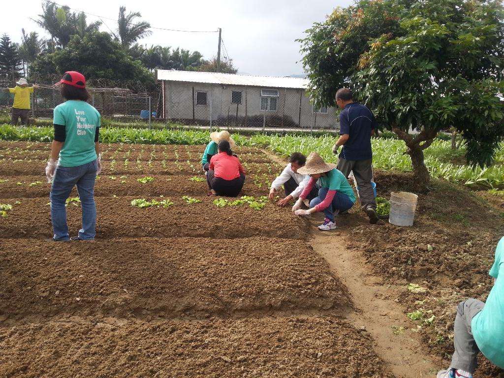 同行之友愛鄰社 2015年12月